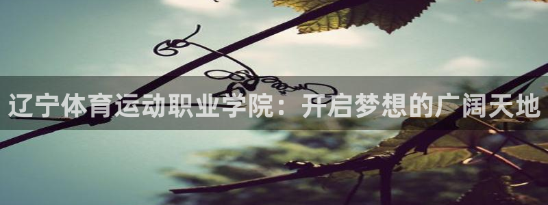 k1体育十年品牌值得信赖网址：辽宁体育运动职业学院：开启梦想的广阔天地