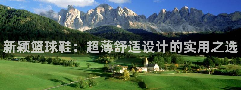 k1体育平台最新网站下载：新颖篮球鞋：超薄舒适设计的实用之选