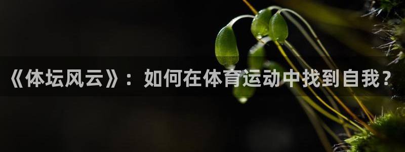 k1体育app：《体坛风云》：如何在体育运动中找到自我？