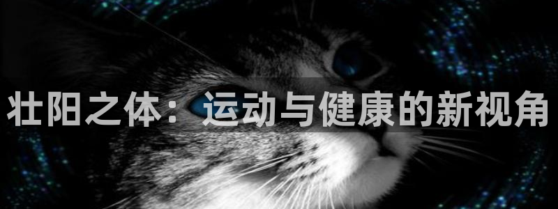 k1体育平台3915：壮阳之体：运动与健康的新视角