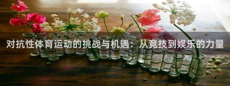 k1体育平台最新网站下载：对抗性体育运动的挑战与机遇：从竞技到娱乐的力量