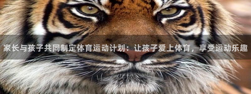 k1体育app下载链接：家长与孩子共同制定体育运动计划：让孩子爱上体育，享受运动乐趣