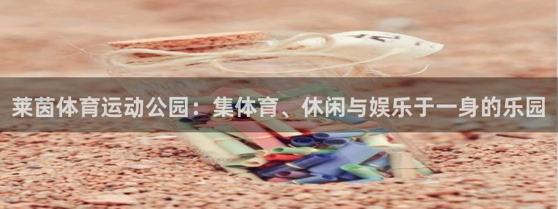 k1体育入口：莱茵体育运动公园：集体育、休闲与娱乐于一身的乐园